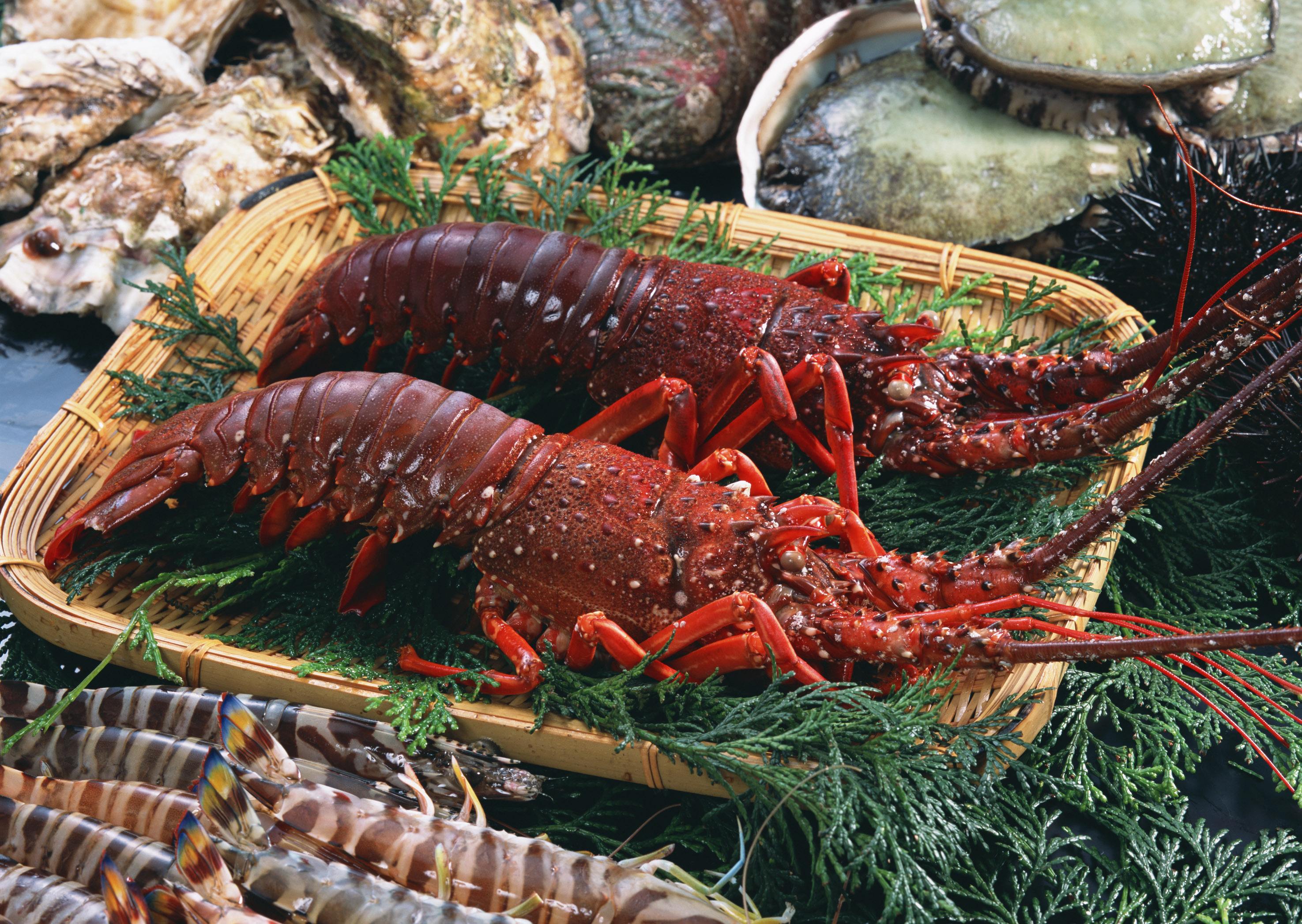 水產(chǎn)海鮮.jpg